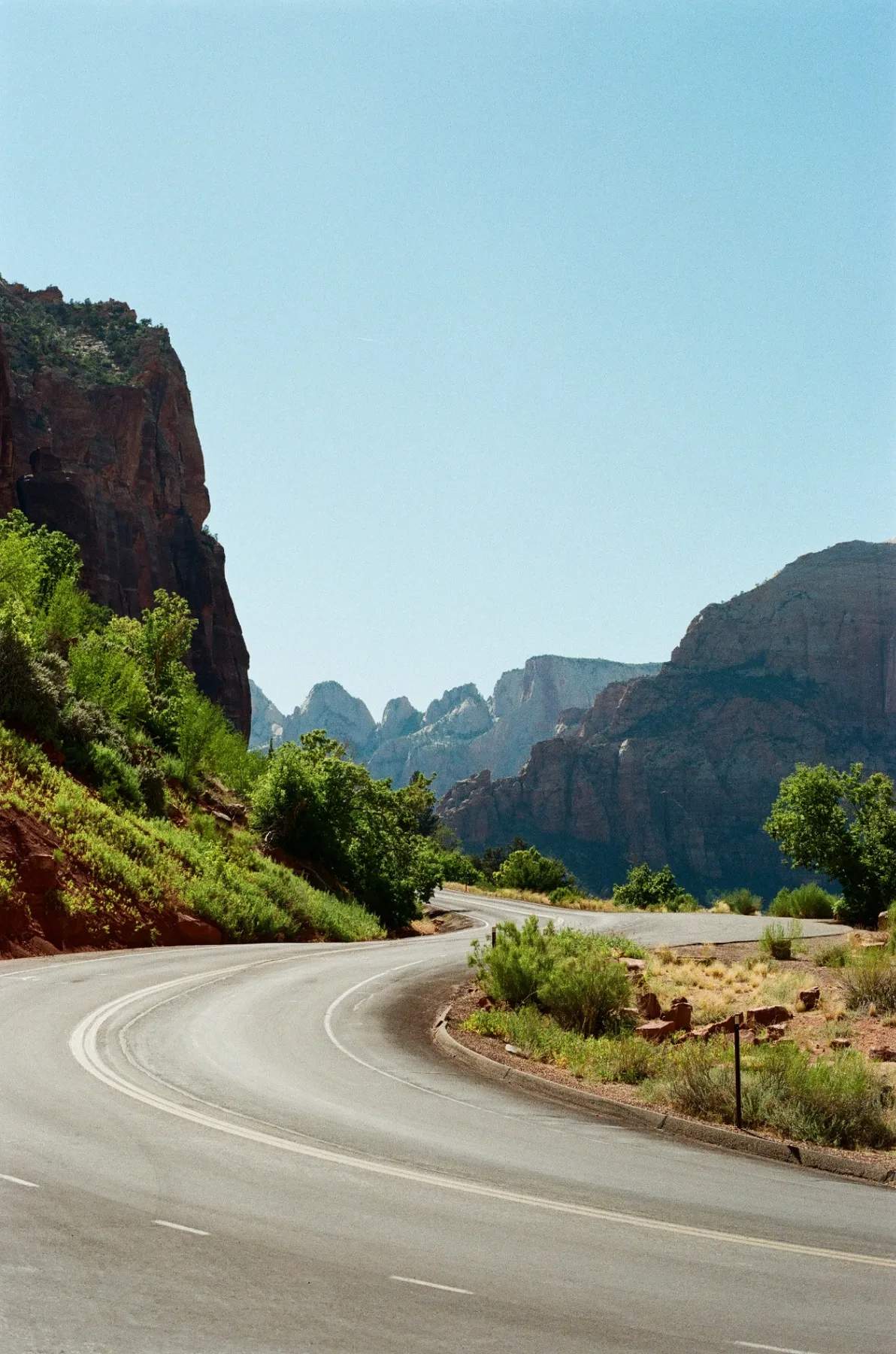Zion Swerve