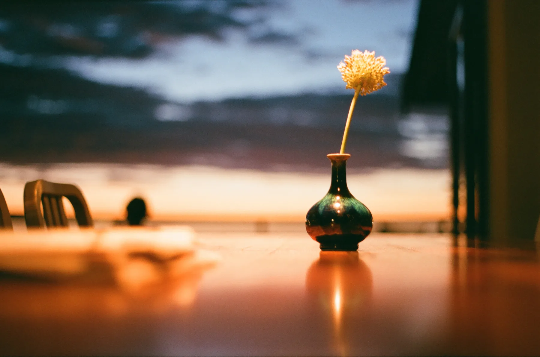 Sunset Flower