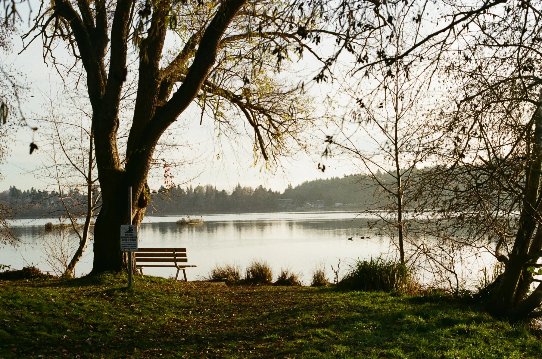 Greenlake Bench